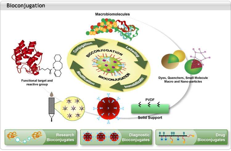 様々なバイオコンジュゲーションの概念図