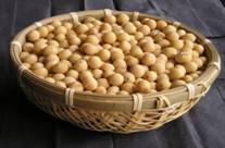 遺伝子組み換え食品 かごに盛られた大豆